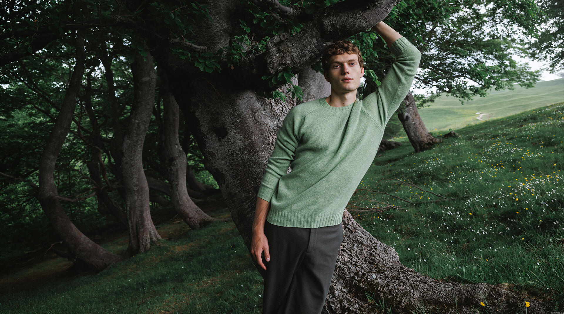 Ferrante campaign: a model in a pale green knit jumper leaning against a tree in a green landscape.